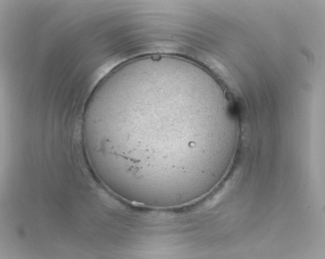 X0000115061081200911231210