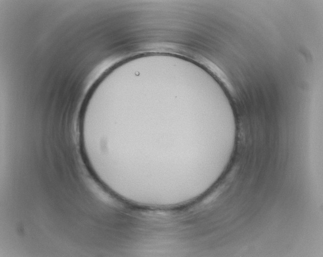 X0000115061082200911231210