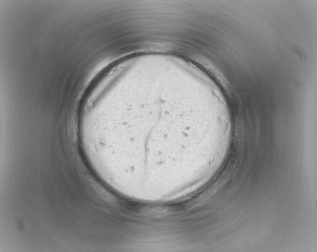 X0000115061083200911231210