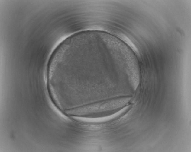 X0000115061084200911231210