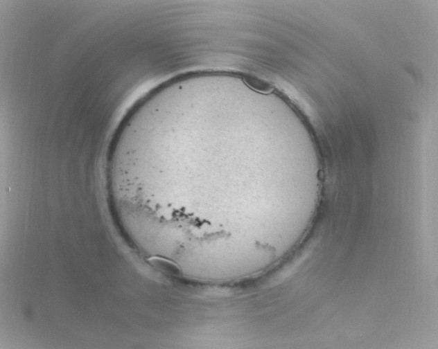 X0000115061085200911231210