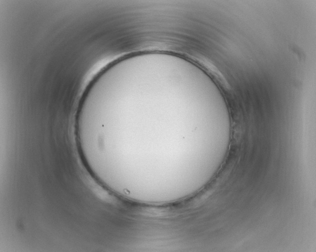 X0000115061086200911231210