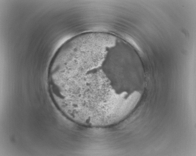 X0000115061087200911231210