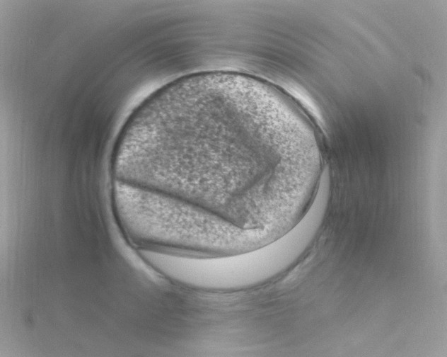 X0000115061088200911231210