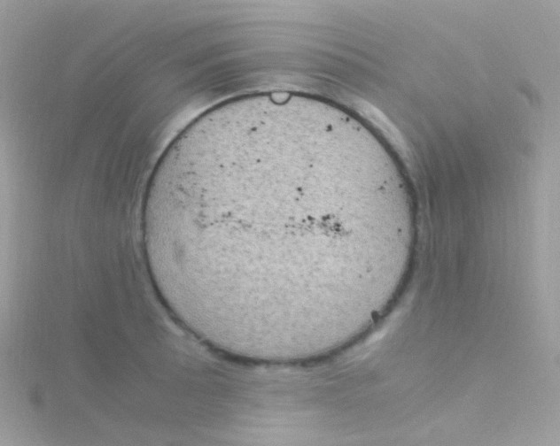 X0000115061089200911231210