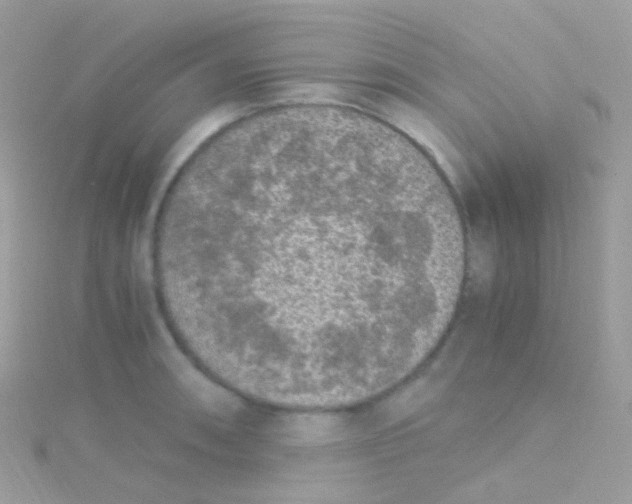 X0000115061090200911231210