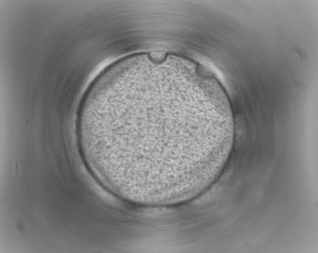 X0000115061091200911231210