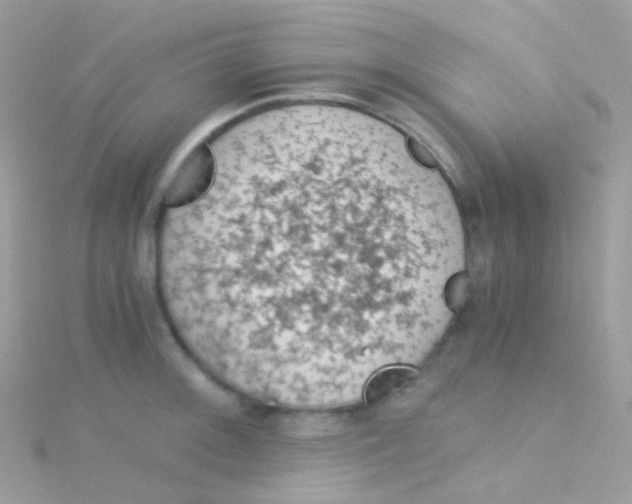 X0000115061092200911231210