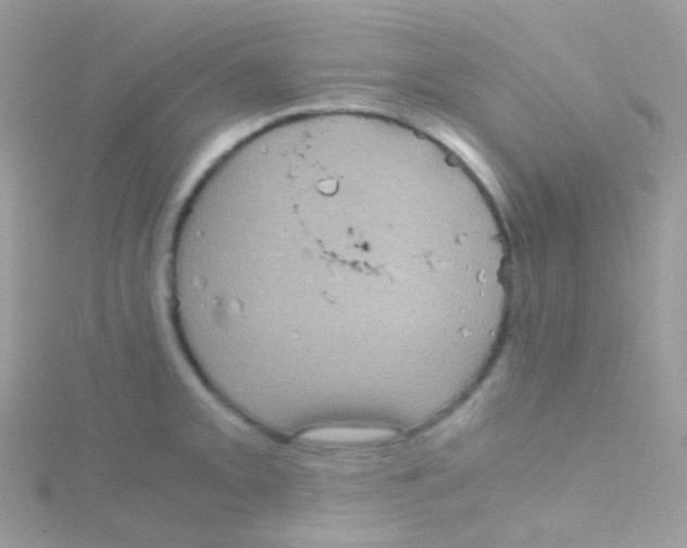 X0000115061093200911231210