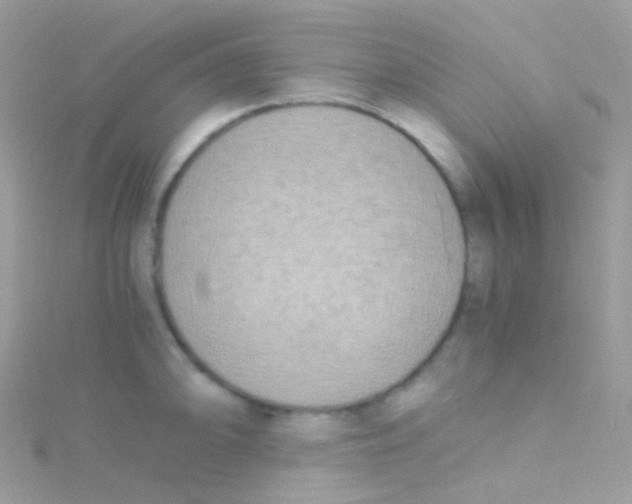 X0000115061094200911231210