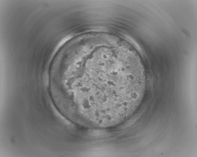 X0000115061095200911231210