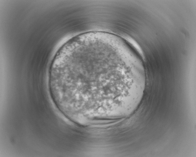 X0000115061096200911231210