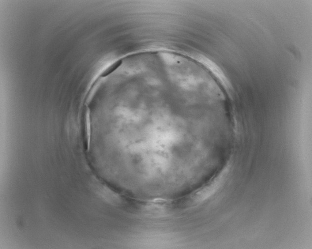 X0000115061097200911231210