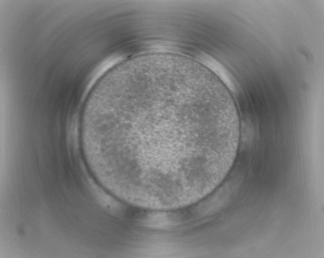 X0000115061098200911231210