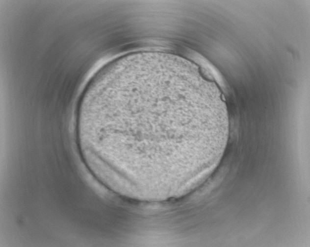 X0000115061099200911231210