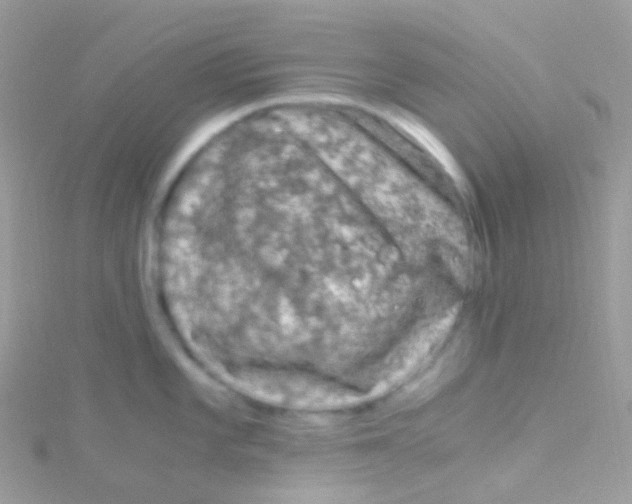 X0000115061101200911231210