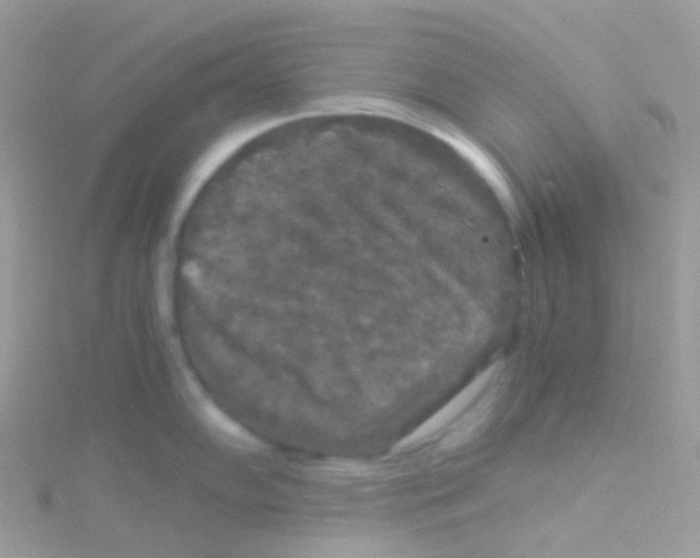 X0000115061102200911231210