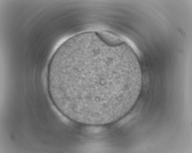 X0000115061103200911231210