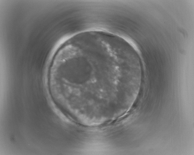 X0000115061104200911231210