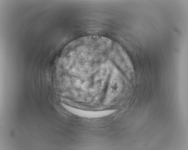 X0000115061106200911231209