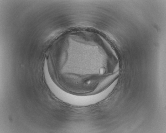 X0000115061110200911231209