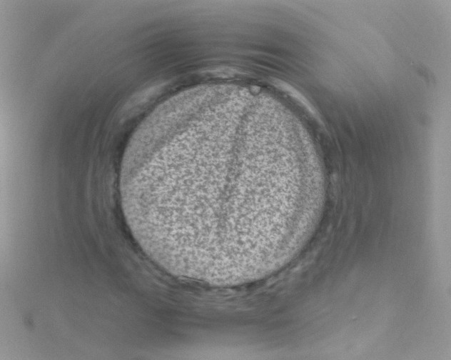 X0000115061111200911231209