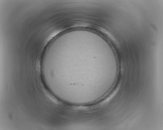 X0000115061113200911231209