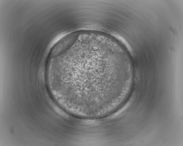 X0000115061114200911231209