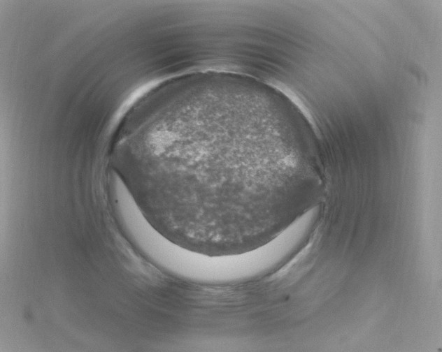 X0000115061115200911231209