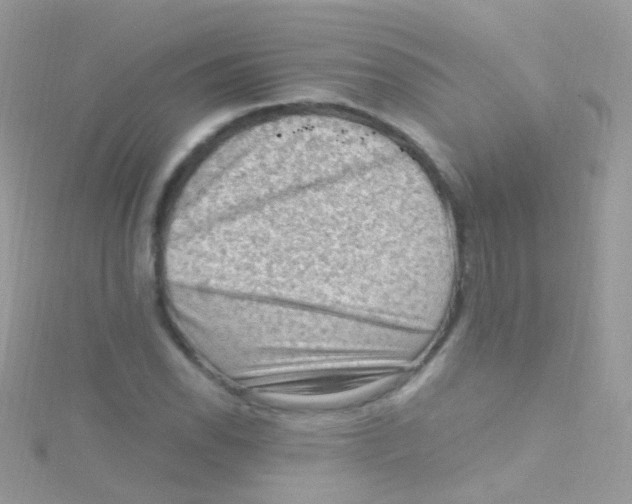 X0000115061118200911231209