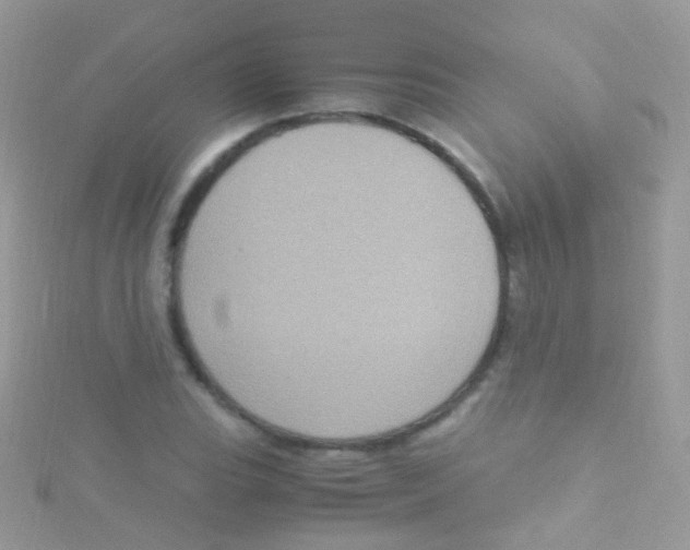 X0000115061119200911231209