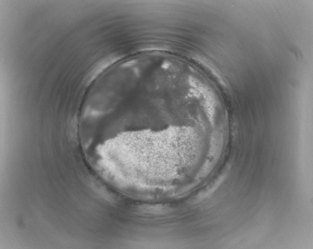 X0000115061121200911231209