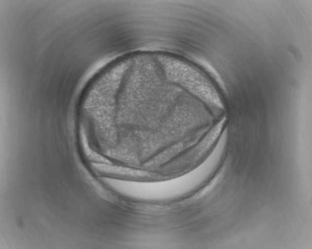 X0000115061122200911231209