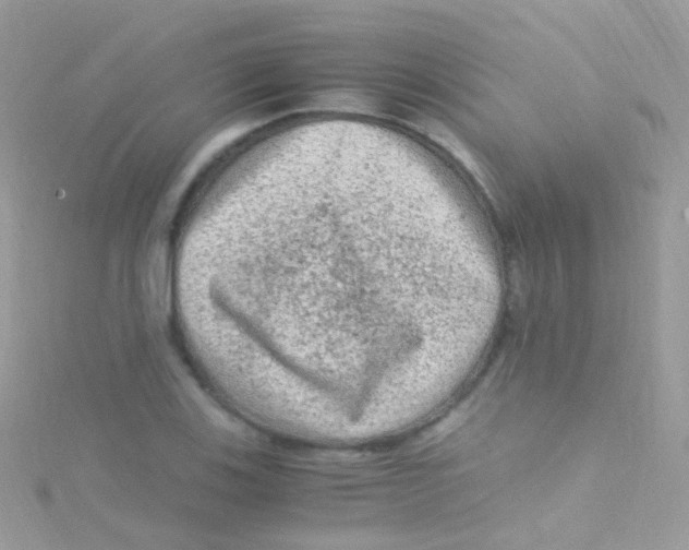 X0000115061123200911231209