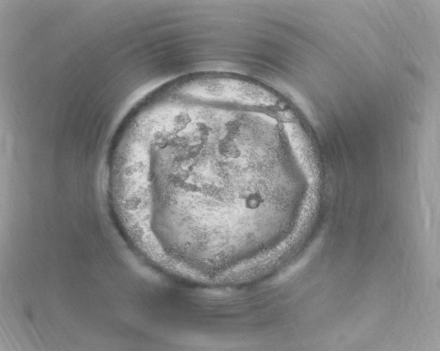 X0000115061125200911231209