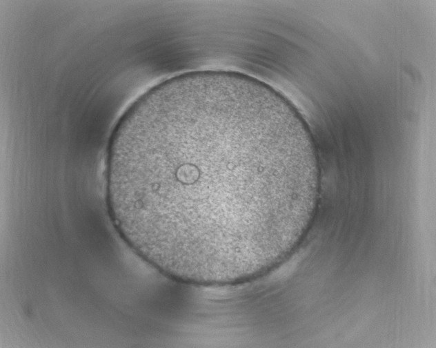 X0000115061126200911231209