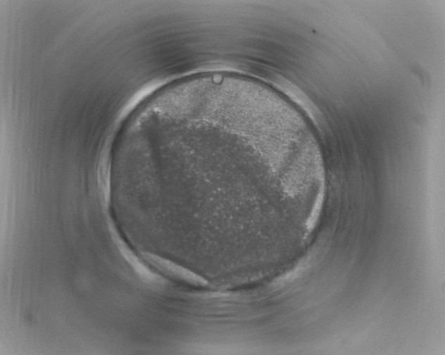 X0000115061127200911231209