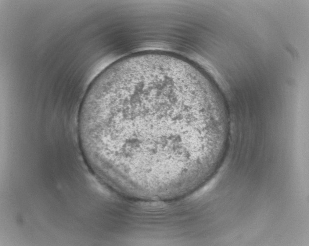 X0000115061129200911231209