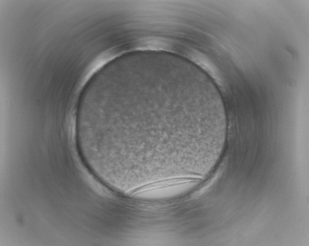 X0000115061130200911231209