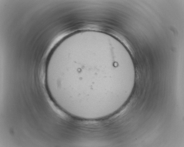 X0000115061131200911231209