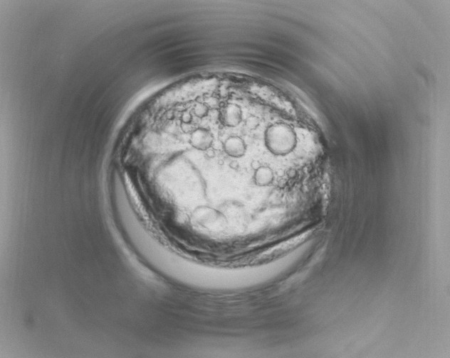 X0000115061133200911231209