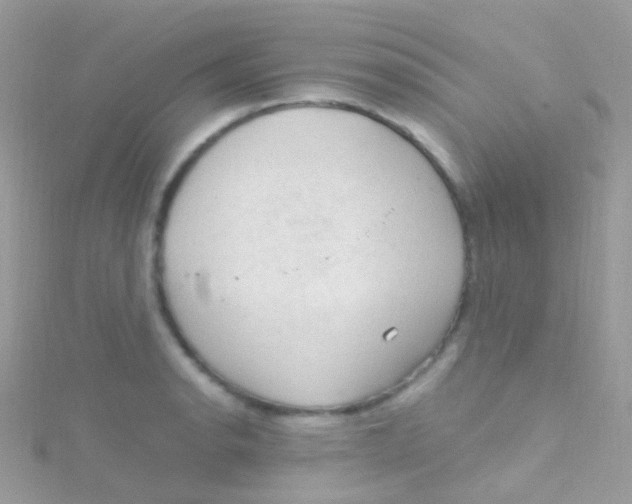 X0000115061134200911231209