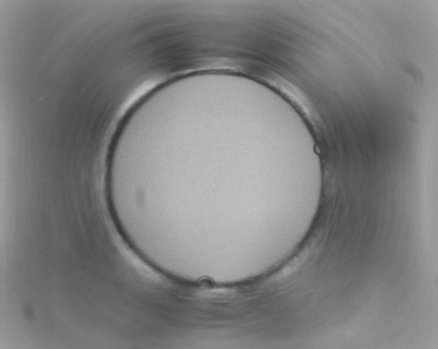 X0000115061135200911231209