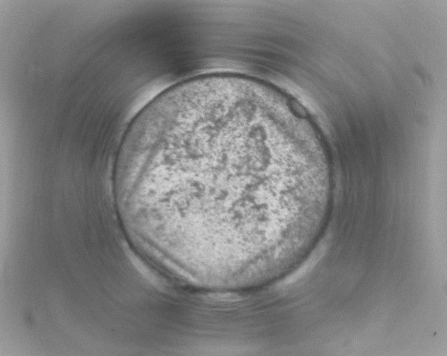 X0000115061137200911231209