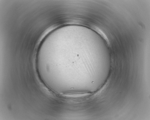 X0000115061138200911231209