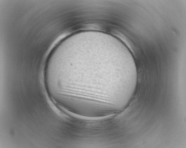 X0000115061139200911231209