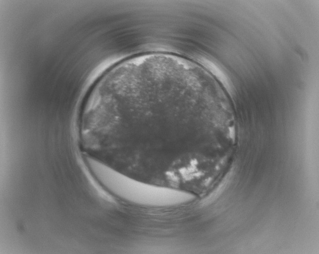 X0000115061141200911231209