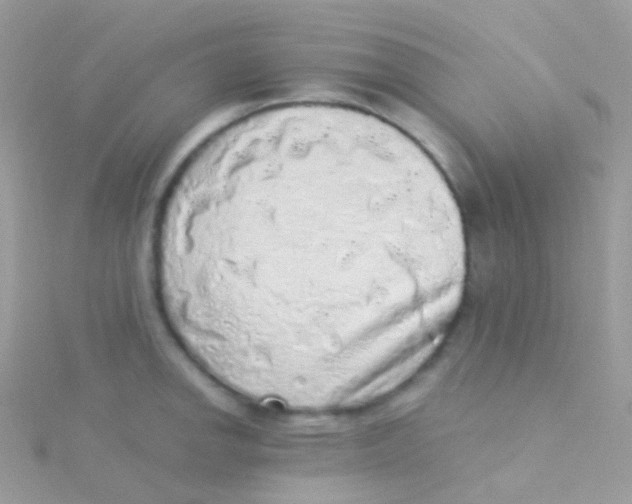 X0000115061142200911231209