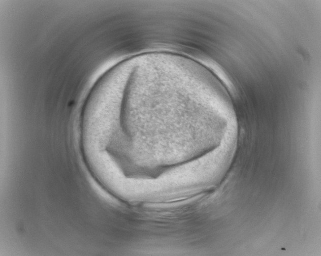 X0000115061143200911231209