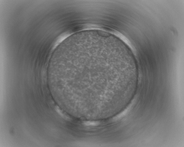 X0000115061145200911231210